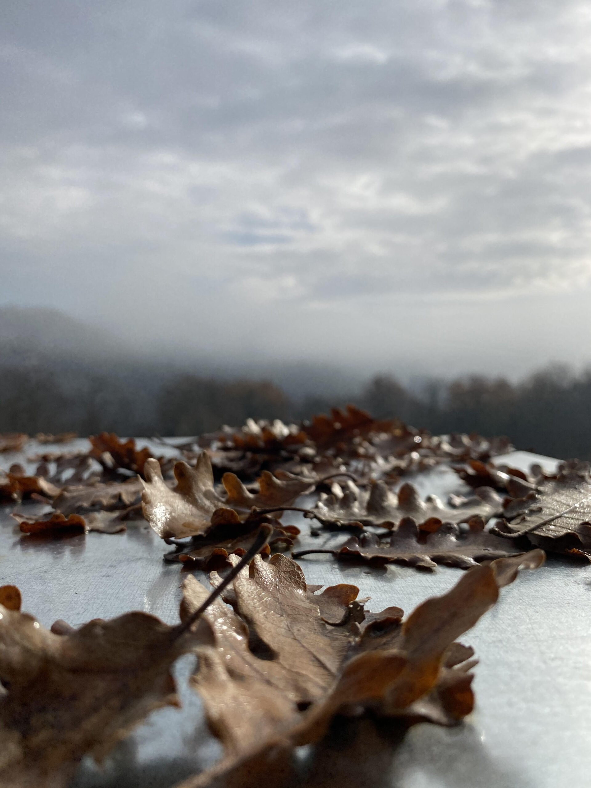 La natura e le sue regole